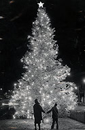 Dedicated Christmas Tree