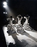 Flamenco Troupe Performs