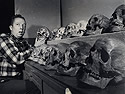 Human Skull Collection