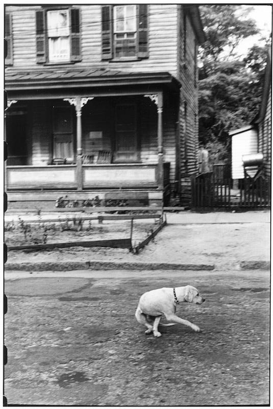 Wilmington, North Carolina