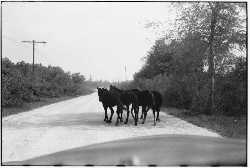 New Orleans, Louisiana