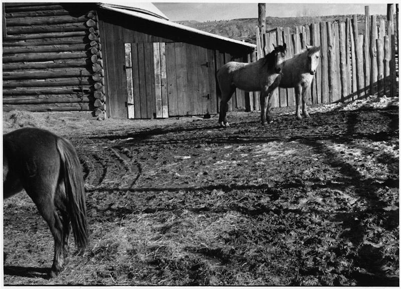 Medicine Bow, Wyoming