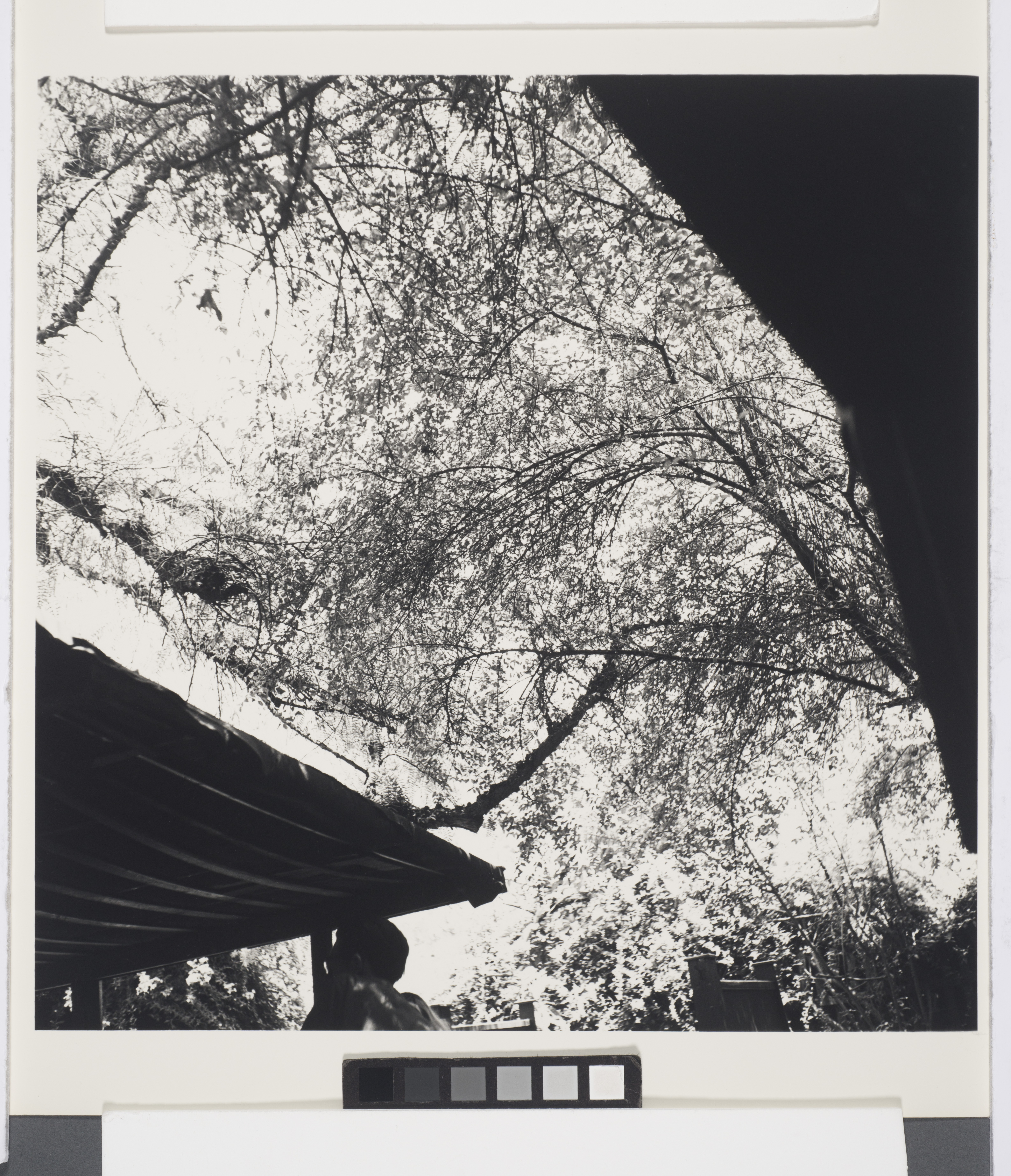 Los Angeles, California