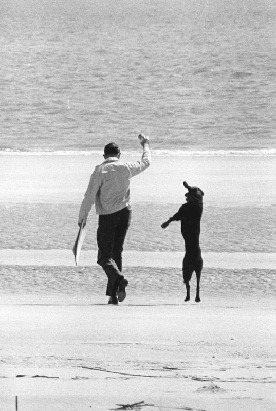 Long Island, New York