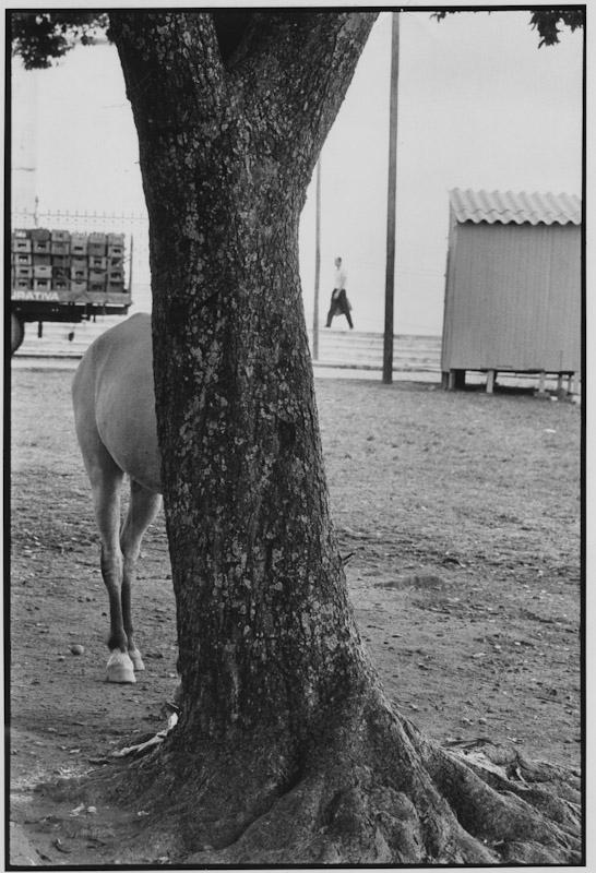 Salvador da Bahia, Brazil