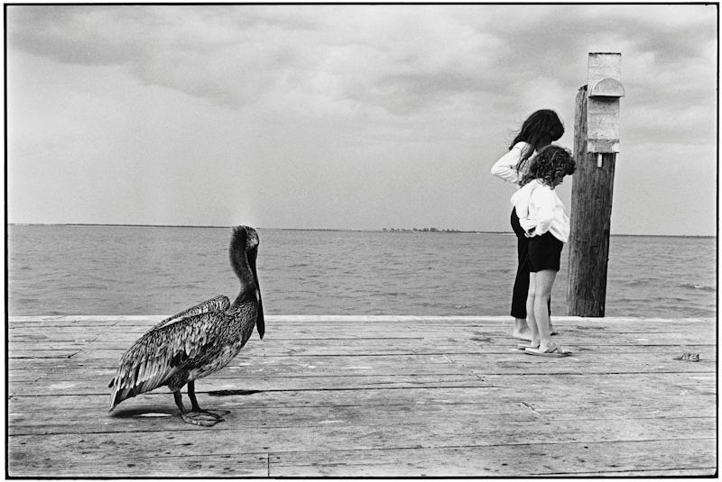 Sanibel Island, Florida