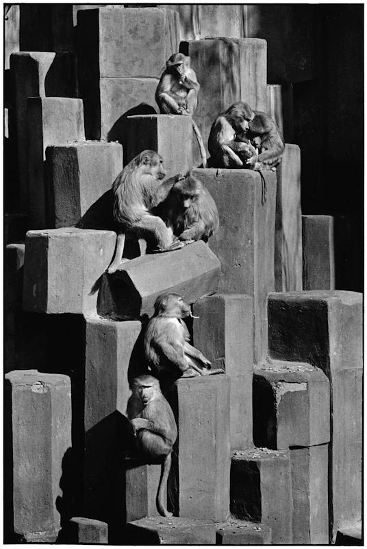 San Diego, California