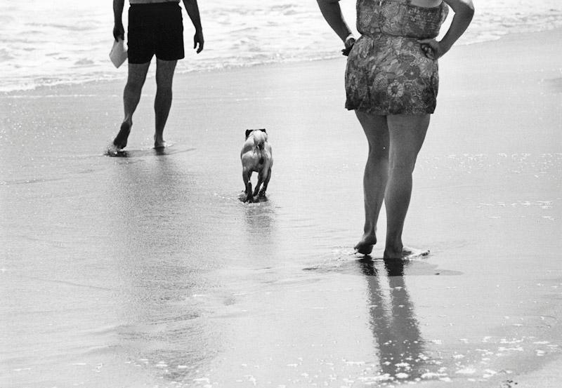 Southampton, New York