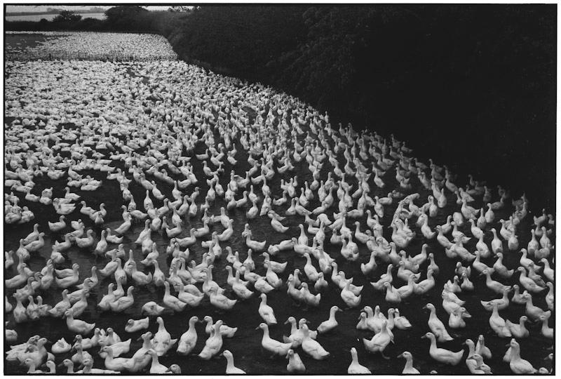 Southampton, New York