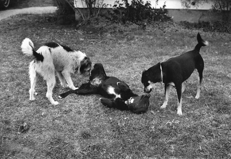 Santa Cruz, California