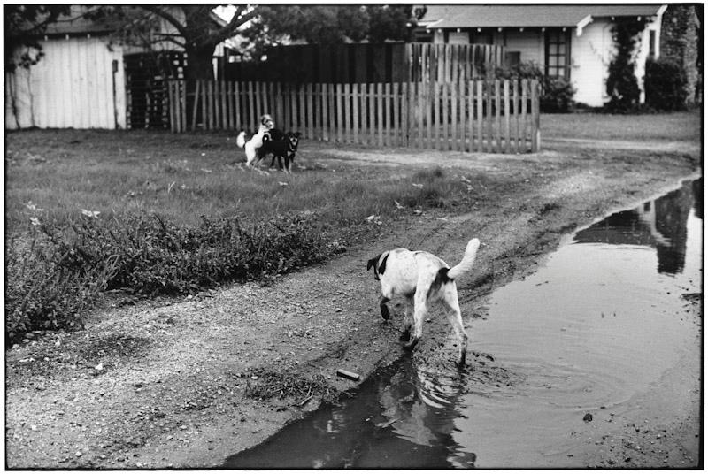 San Francisco, California
