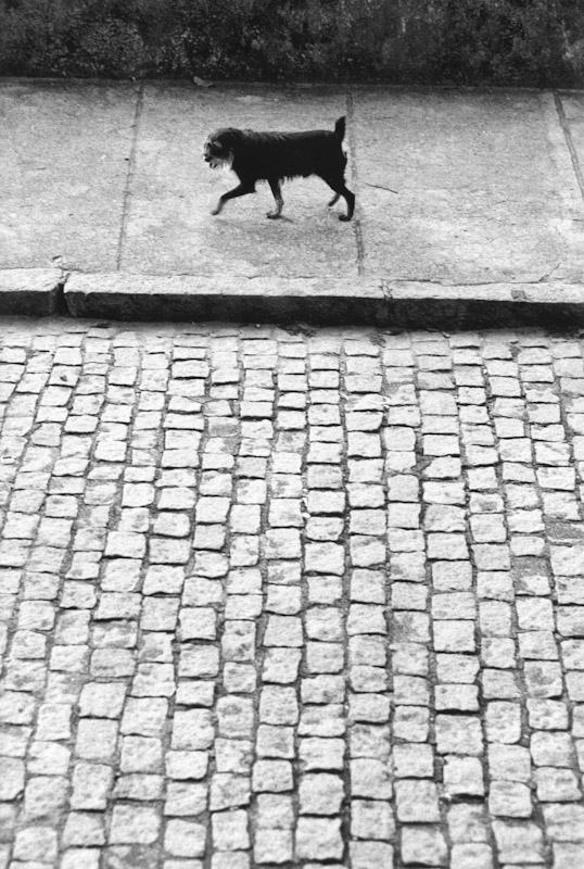 Rio de Janeiro, Brazil