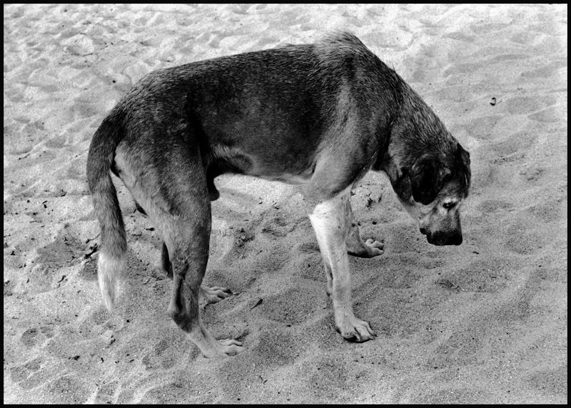 Puerto Vallarta, Mexico