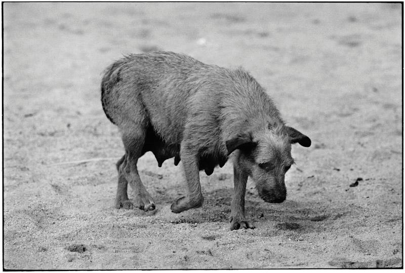 Puerto Vallarta, Mexico