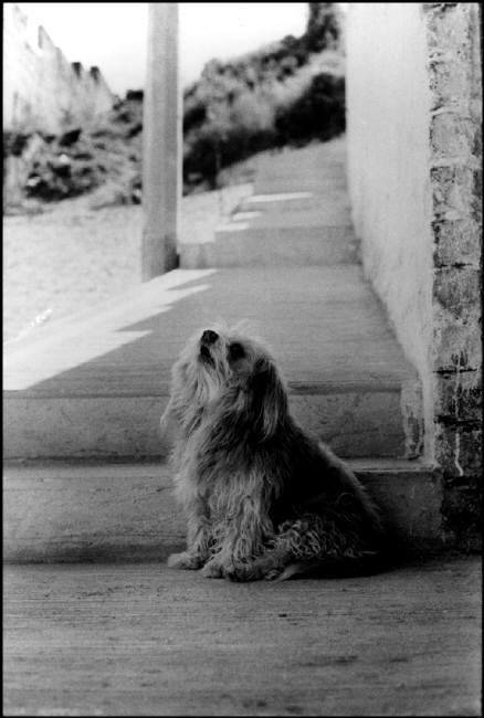 Puerto Vallarta, Mexico