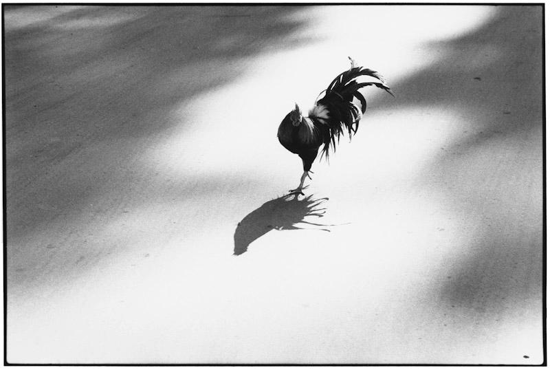 San Diego, California