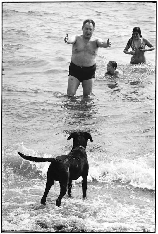 Saintes Maries de la Mer, France