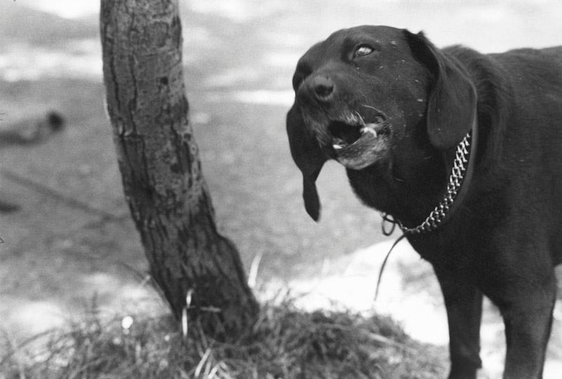 Saint Tropez, France