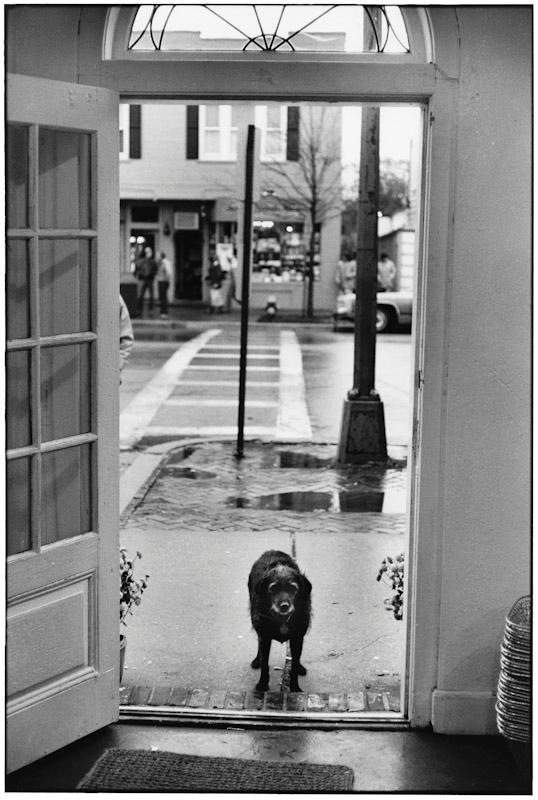 East Hampton, New York