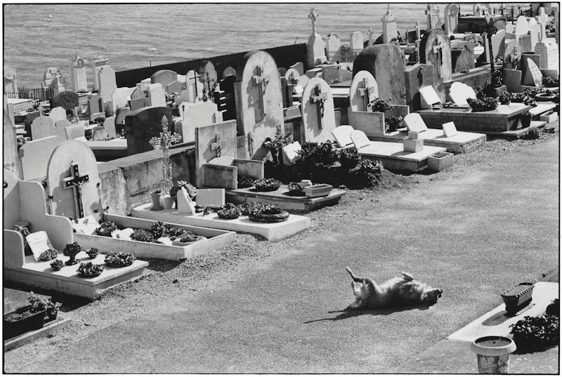 Saint Tropez, France