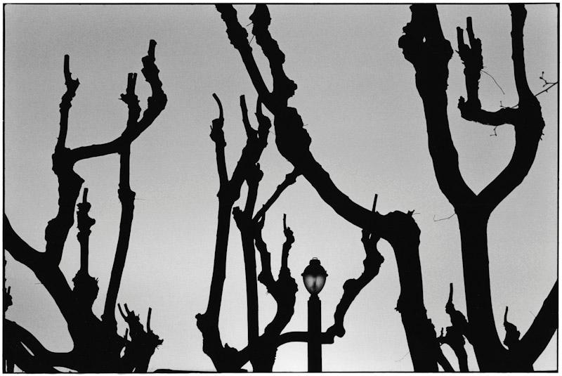 Saint Tropez, France