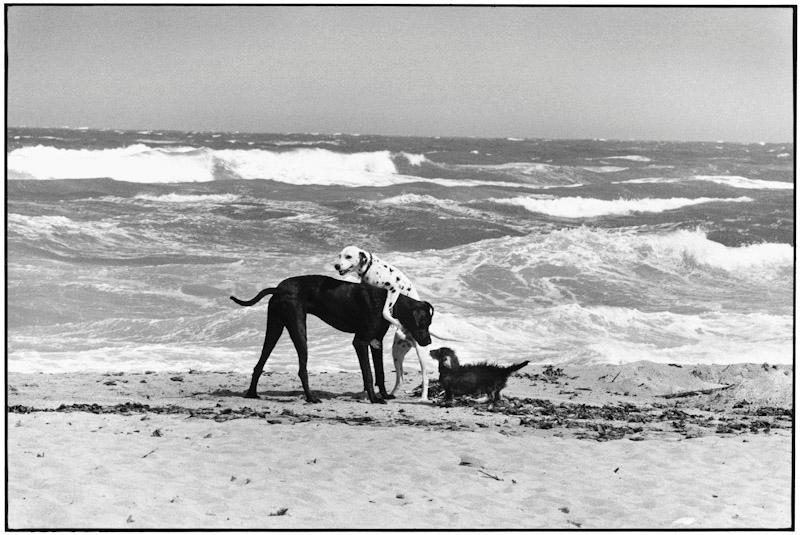 Saint Tropez, France