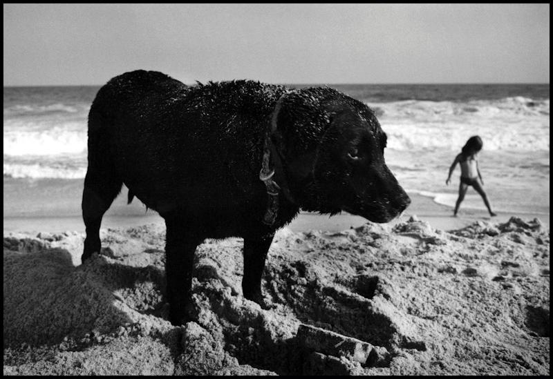 East Hampton, New York