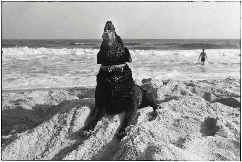 East Hampton, New York