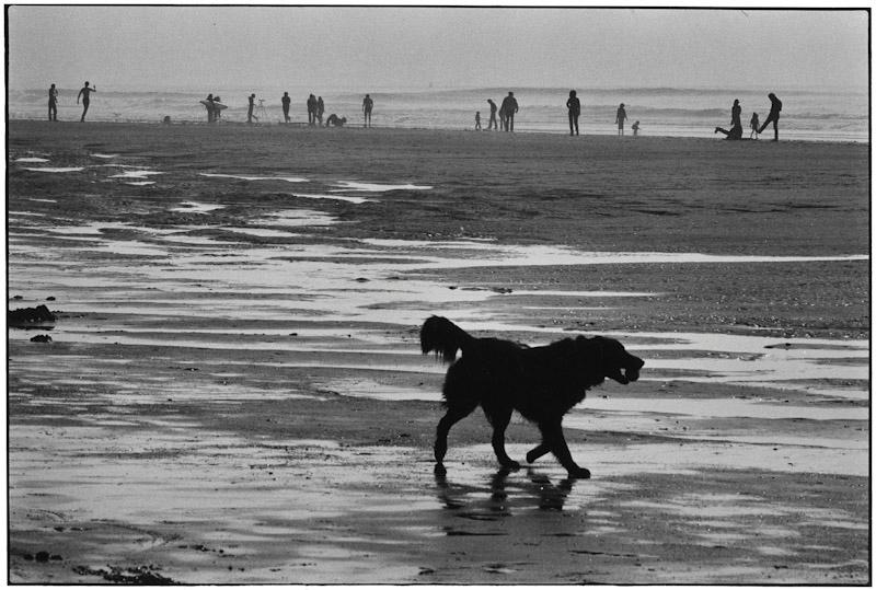 San Francisco, California