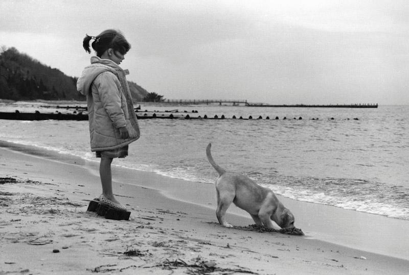 Amagansett, New York