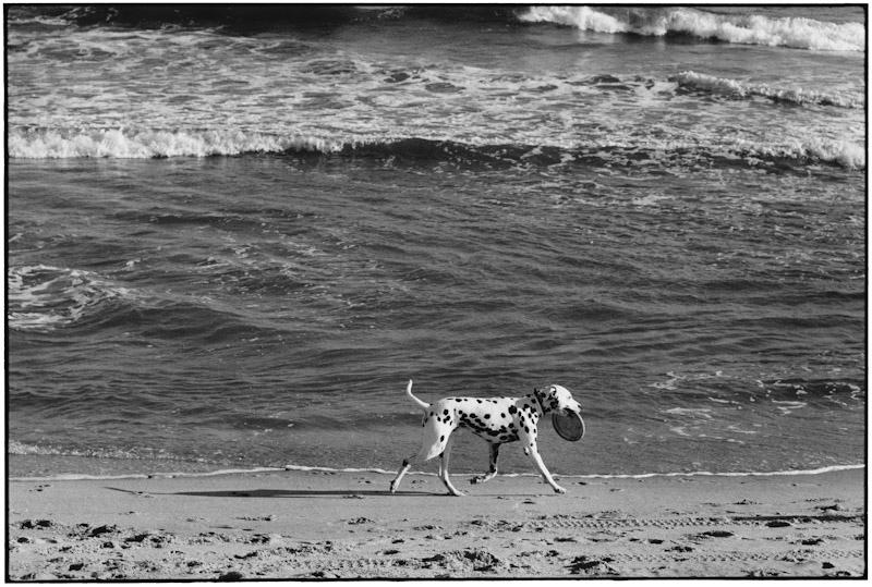 East Hampton, New York