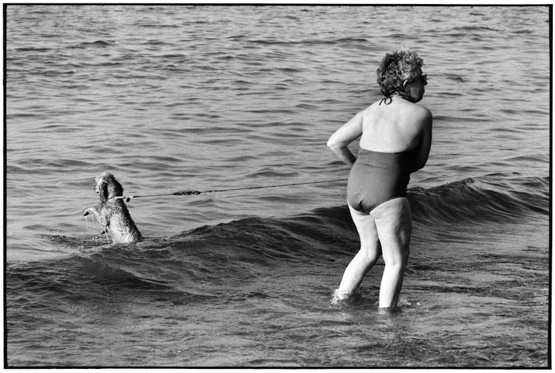 Calvi, Corsica, France