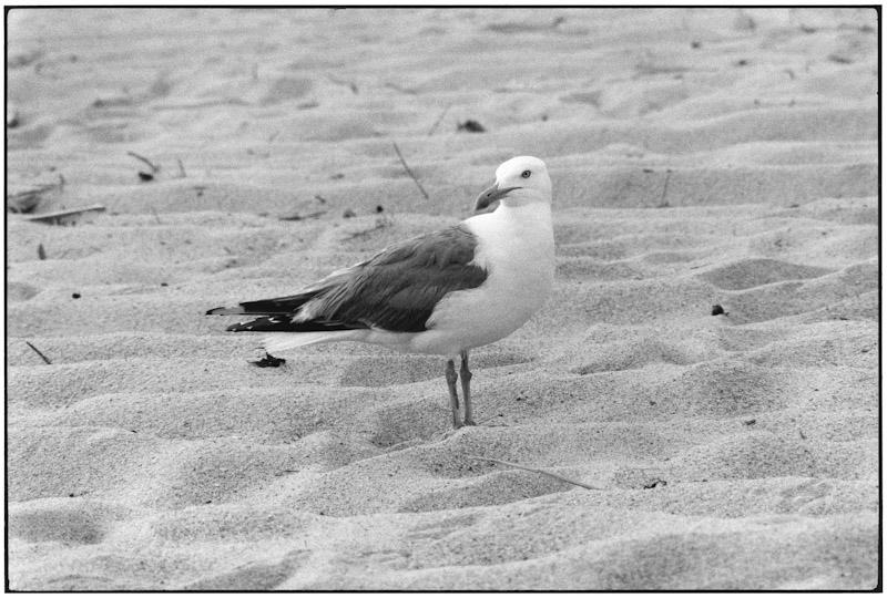 East Hampton, New York