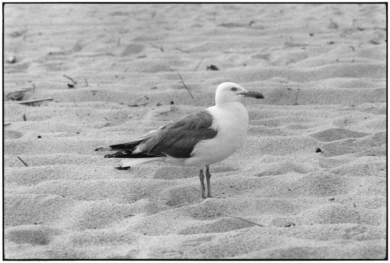 East Hampton, New York