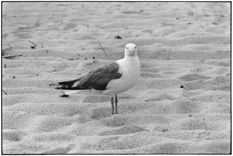 East Hampton, New York