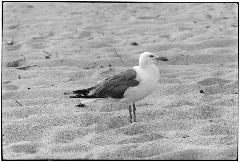 East Hampton, New York