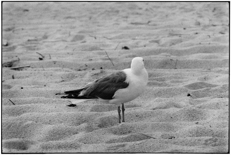 East Hampton, New York