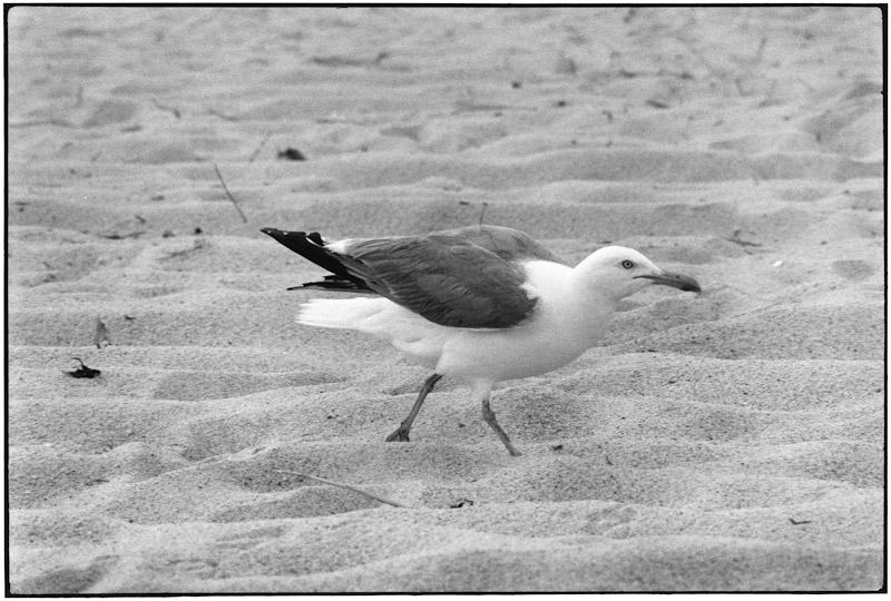 East Hampton, New York