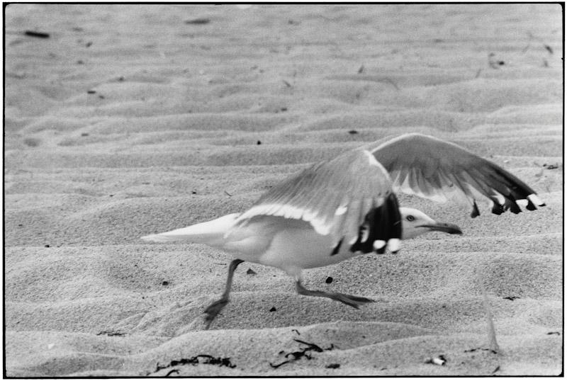 East Hampton, New York