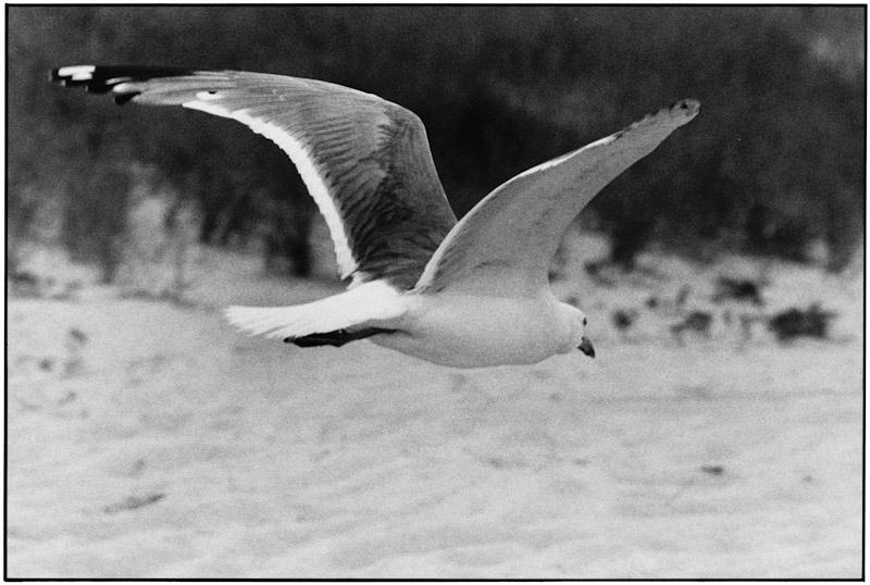 East Hampton, New York