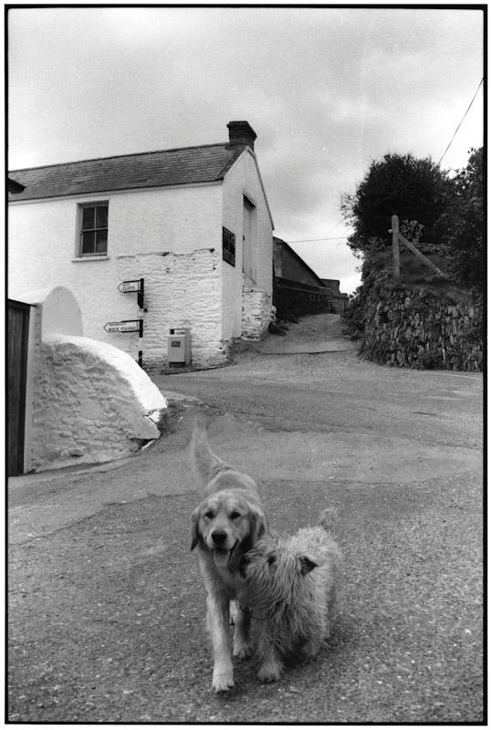 Ballycotton, Ireland