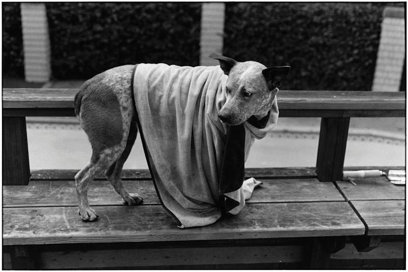 San Francisco, California