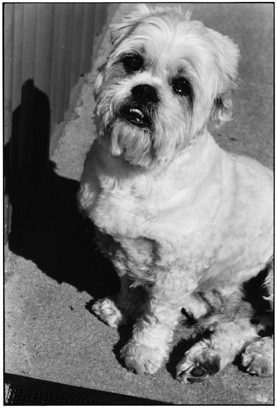 East Hampton, New York