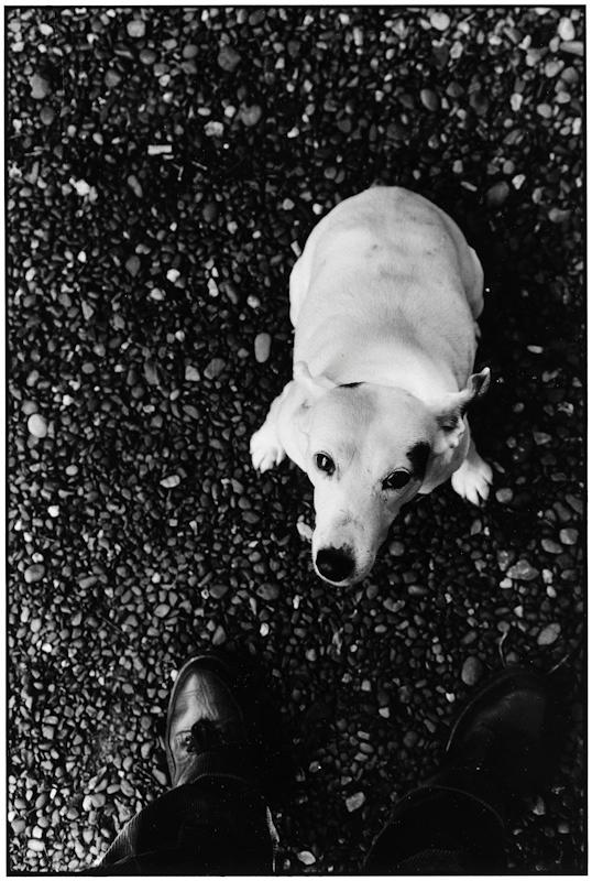 Ballycotton, Ireland