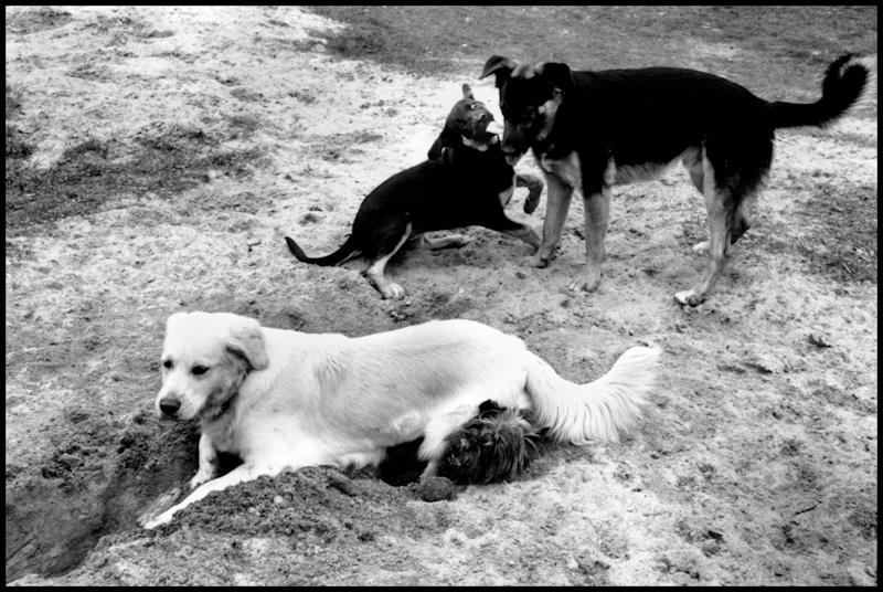 East Hampton, New York