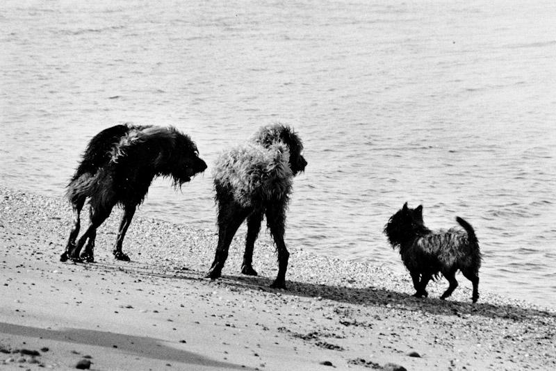 Amagansett, New York