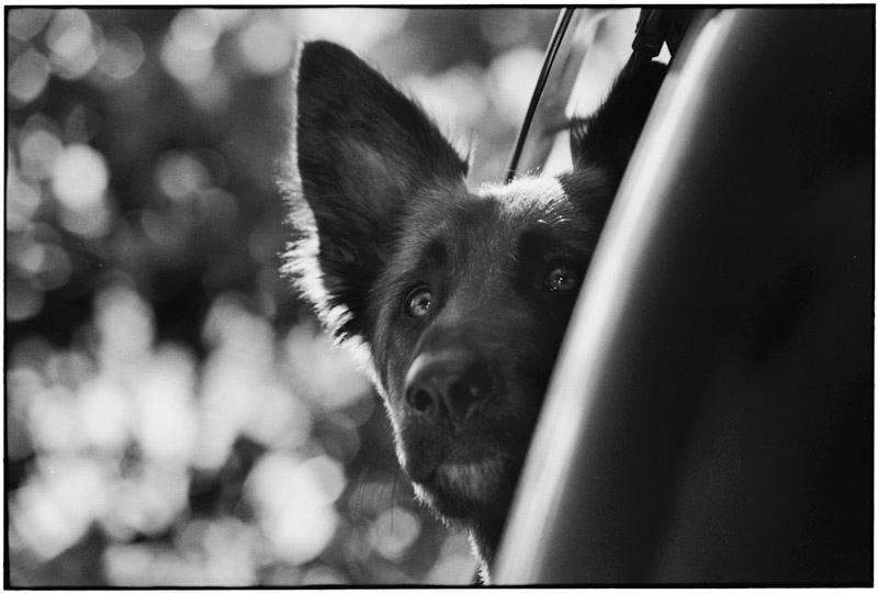 Sanibel Island, Florida