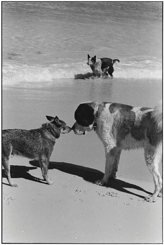 Perth, Western Australia, Australia