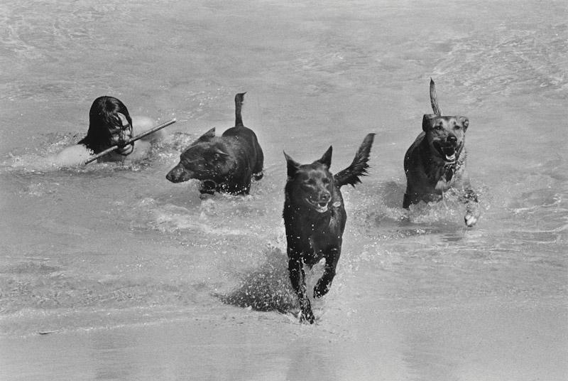 Perth, Western Australia, Australia