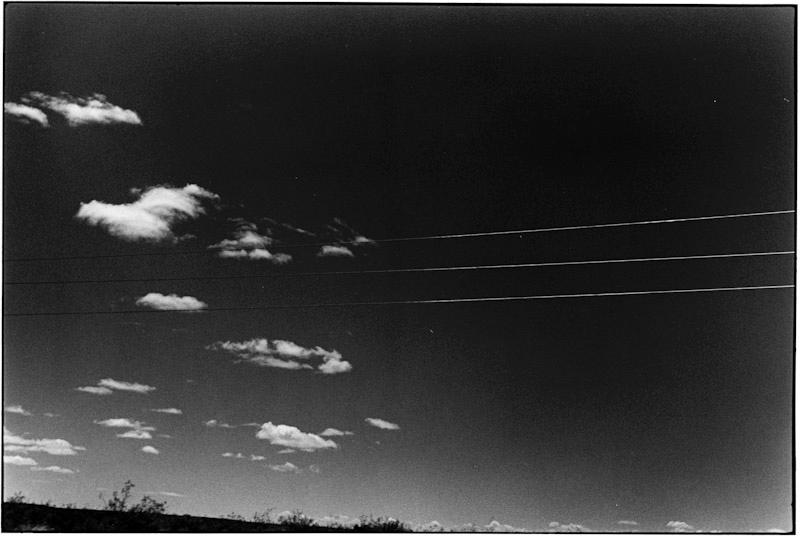 Punta Tombo, Patagonia, Argentina